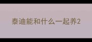 泰迪能和什么一起养