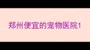 郑州便宜的宠物医院