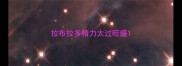 拉布拉多精力太过旺盛