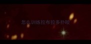 怎么训练拉布拉多扑咬