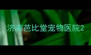 济南芭比堂宠物医院