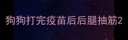 狗狗打完疫苗后后腿抽筋