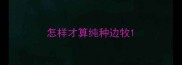 怎样才算纯种边牧