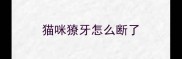 猫咪獠牙怎么断了