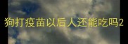 狗打疫苗以后人还能吃吗