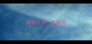 泰迪小狗一直睡觉
