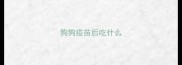 狗狗疫苗后吃什么