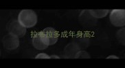 拉布拉多成年身高