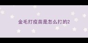 金毛打疫苗是怎么打的