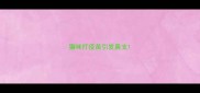 猫咪打疫苗引发鼻支