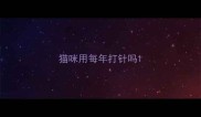 猫咪用每年打针吗