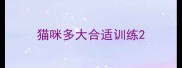 猫咪多大合适训练