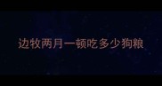 边牧两月一顿吃多少狗粮