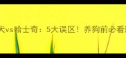 阿拉斯加犬vs哈士奇5大误区养狗前必看避坑指南