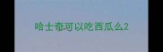 哈士奇可以吃西瓜么