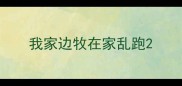 我家边牧在家乱跑
