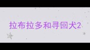 拉布拉多和寻回犬