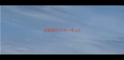 灰鹦鹉几个月一亲人