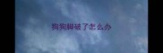 狗狗脚破了怎么办