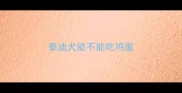 泰迪犬能不能吃鸡蛋