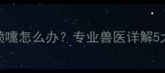 泰迪犬两个月打喷嚏怎么办专业兽医详解5大原因及应对方案