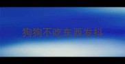 狗狗不吃东西发抖