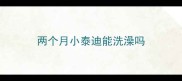 两个月小泰迪能洗澡吗