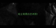 哈士奇黑白艺术照