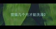 狸猫几个月才能洗澡