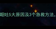 夏季拉布拉多呕吐5大原因及3个急救方法养宠必看