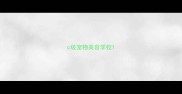 c级宠物美容学校