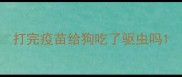打完疫苗给狗吃了驱虫吗