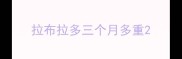 拉布拉多三个月多重