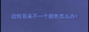 边牧耳朵不一个颜色怎么办