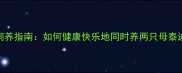 科学饲养指南如何健康快乐地同时养两只母泰迪犬
