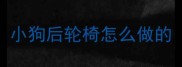 小狗后轮椅怎么做的