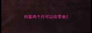 柯基两个月可以吃零食