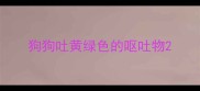 狗狗吐黄绿色的呕吐物