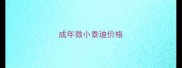 成年微小泰迪价格