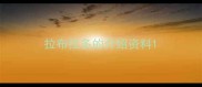 拉布拉多的介绍资料