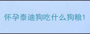 怀孕泰迪狗吃什么狗粮