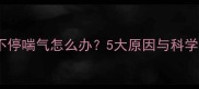 边牧狗狗不停喘气怎么办5大原因与科学解决方法