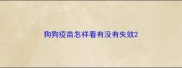 狗狗疫苗怎样看有没有失效