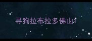 寻狗拉布拉多佛山