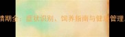 新哈士奇母犬发情期全症状识别饲养指南与健康管理养宠人必看