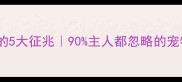 警惕狗狗抑郁的5大征兆90主人都忽略的宠物心理健康指南