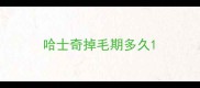 哈士奇掉毛期多久