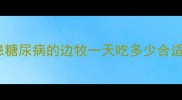 患糖尿病的边牧一天吃多少合适