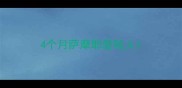 4个月萨摩耶爱咬人