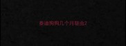 泰迪狗狗几个月驱虫